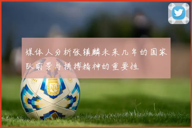 媒体人分析张镇麟未来几年的国家队前景与拼搏精神的重要性