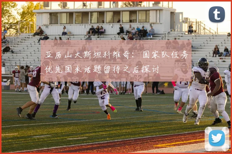 亚历山大斯坦科维奇：国家队任务优先国米话题留待之后探讨