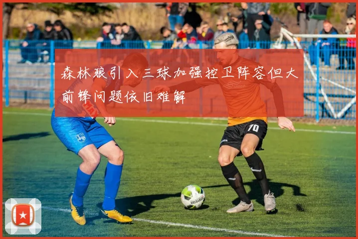 森林狼引入三球加强控卫阵容但大前锋问题依旧难解